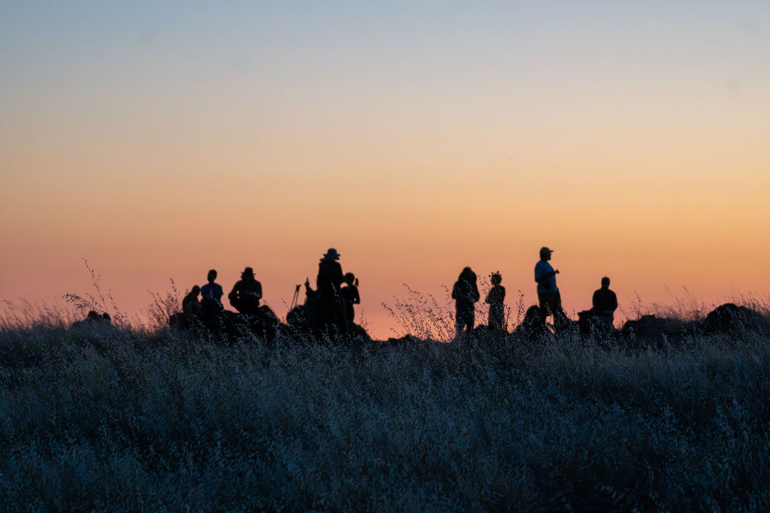 Hikes at the top of Black Mountain as part of Midpen's quarterly Full Moon Hike led by docents. Photo: Caitlin Dempsey.